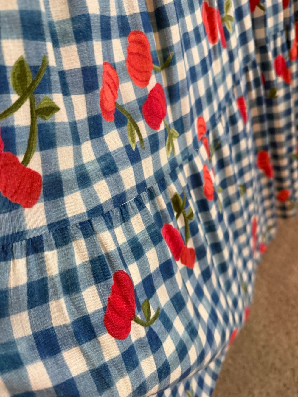 FARM Rio Blue and White Gingham Maxi Dress with Red Floral Accents - Picture 5 of 10
